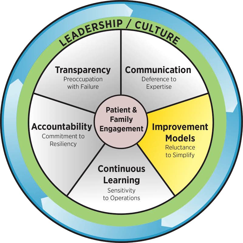 MHA leadership and culture roadmap graphic emphasizing improvement models