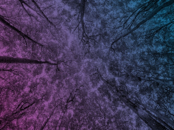 a photo representing MHA's value of wellbeing